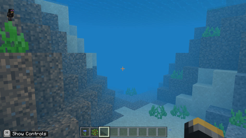 Underwater in Minecraft. 
