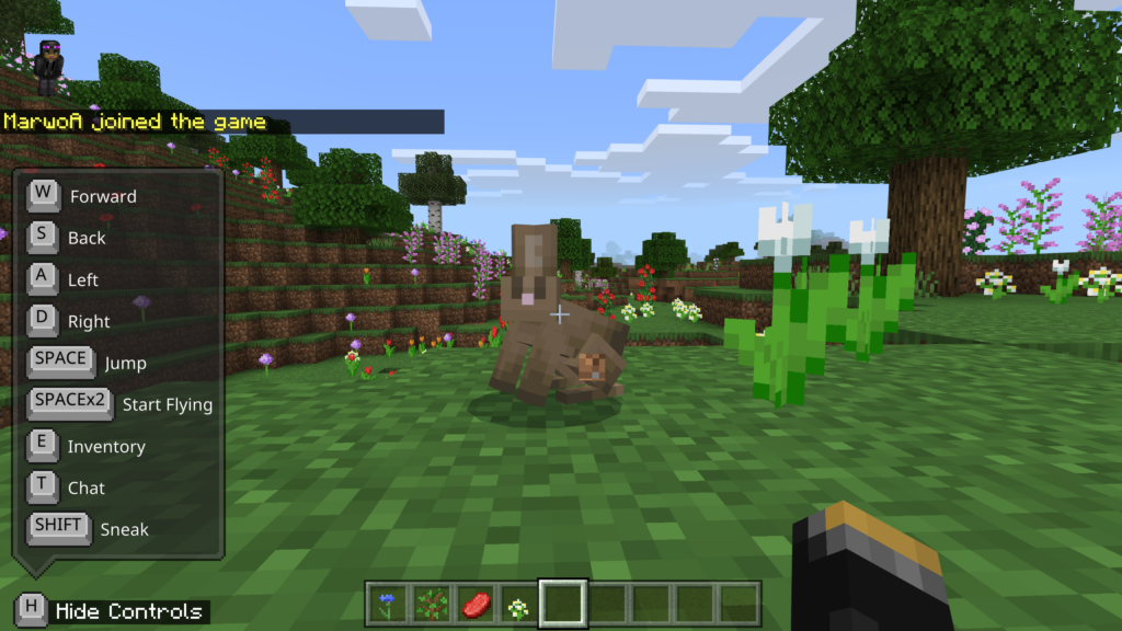 Image of Bunny